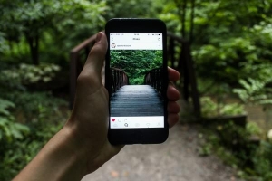 Cum să vizualizați fotografiile apreciate pe instagram